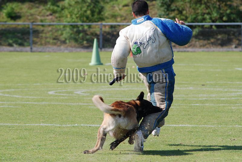 3 EME SELECTIF 2009 GRANDE SYNTHE 377.jpg